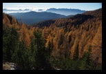 Triglav -Pokljuka -26-10-2013 - Bogdan Balaban